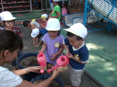 f:id:draper:20100906184234j:image