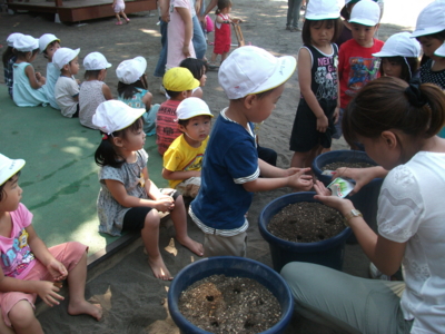 f:id:draper:20100906184239j:image