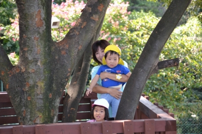f:id:draper:20110909145724j:image