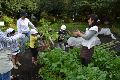 f:id:draper:20111108182124j:image