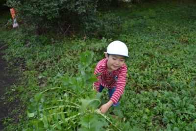 f:id:draper:20111108182129j:image