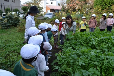 f:id:draper:20111108182132j:image