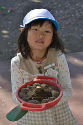 f:id:draper:20111126133340j:image