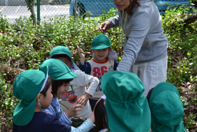 f:id:draper:20120418171514j:image