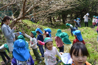 f:id:draper:20120418171533j:image