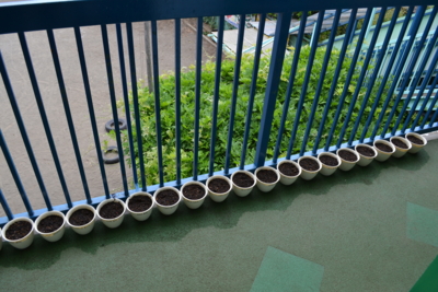 f:id:draper:20120521173203j:image