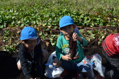 f:id:draper:20121019161542j:image