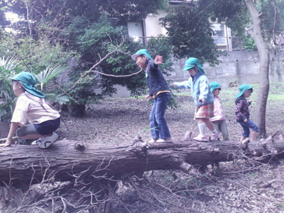 f:id:draper:20121025132335j:image