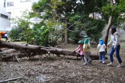f:id:draper:20121025132353j:image