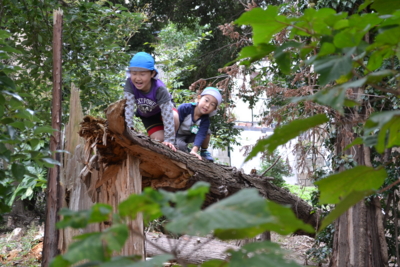 f:id:draper:20121025133312j:image