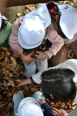 f:id:draper:20121119155359j:image f:id:draper:20121119155359j:image