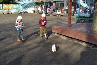 f:id:draper:20121218153357j:image