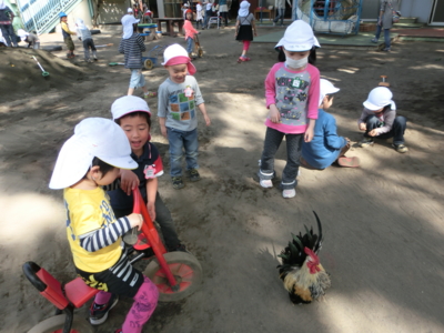 f:id:draper:20130418173640j:image