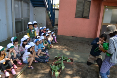 f:id:draper:20130426184300j:image