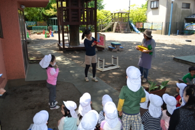 f:id:draper:20130426184305j:image