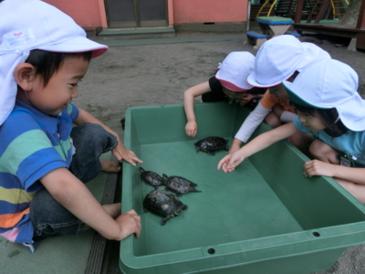 f:id:draper:20130528155311j:image