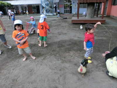 f:id:draper:20130528155320j:image