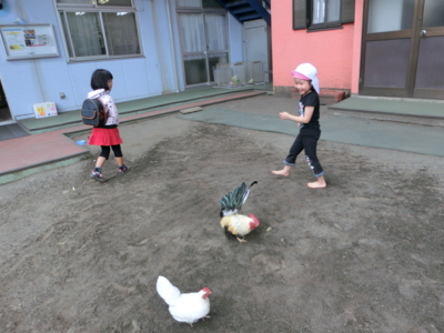 f:id:draper:20130528155330j:image