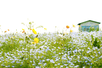 f:id:draper:20130610164549j:image