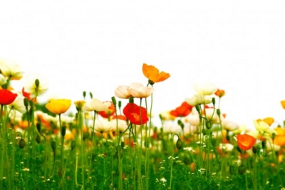 f:id:draper:20130610164720j:image