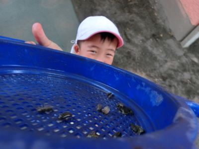 f:id:draper:20130618134909j:image