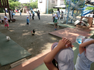 f:id:draper:20130618141525j:image