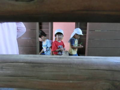 f:id:draper:20130618144542j:image