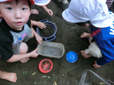 f:id:draper:20130625150140j:image