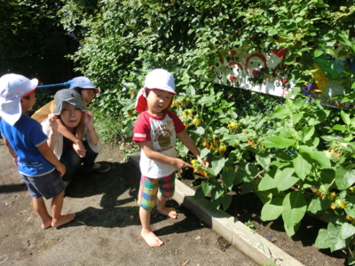 f:id:draper:20130827141152j:image