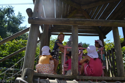 f:id:draper:20130902140511j:image