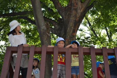 f:id:draper:20130902140524j:image