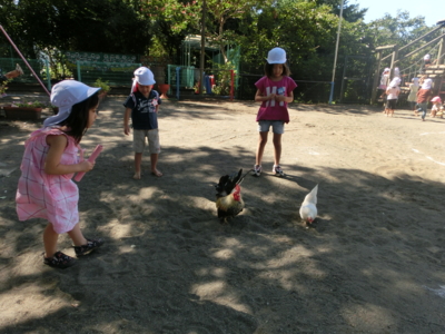 f:id:draper:20130918132428j:image