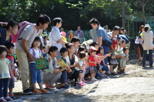 f:id:draper:20131014215716j:image