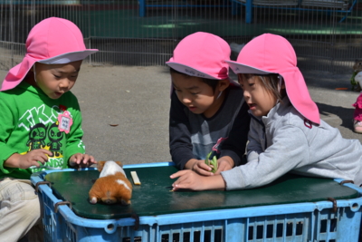 f:id:draper:20131018152939j:image