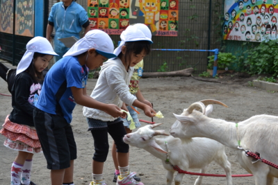 f:id:draper:20131018153012j:image