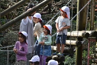 f:id:draper:20131021150105j:image