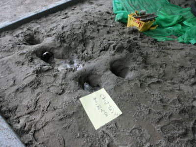 f:id:draper:20131024173718j:image
