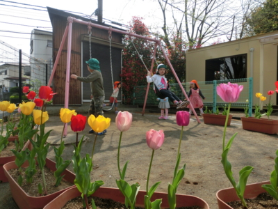 f:id:draper:20140416144227j:image