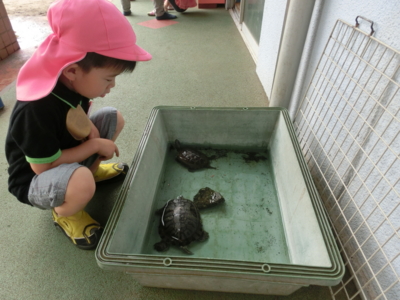 f:id:draper:20140528191213j:image