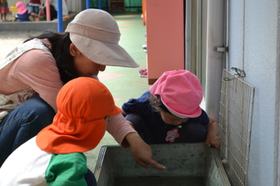 f:id:draper:20140602171213j:image