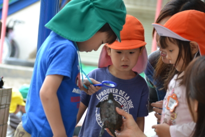 f:id:draper:20140605135240j:image