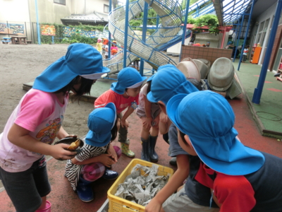 f:id:draper:20140612163846j:image