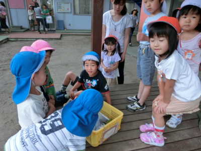 f:id:draper:20140618130354j:image