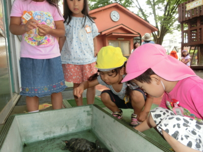 f:id:draper:20140625114449j:image