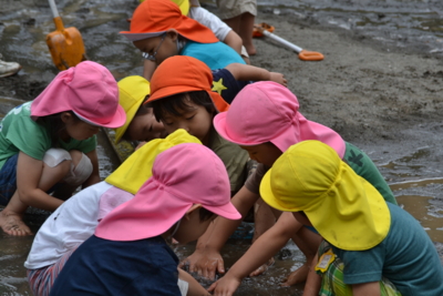 f:id:draper:20140627145149j:image