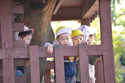 f:id:draper:20141009131422j:image