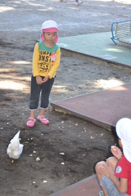 f:id:draper:20141009131428j:image