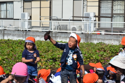 f:id:draper:20141017175341j:image