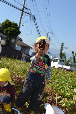 f:id:draper:20141017175403j:image