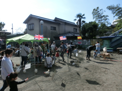 f:id:draper:20141024182211j:image